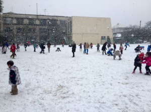 IMG_1598