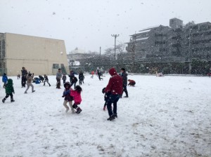 IMG_1600